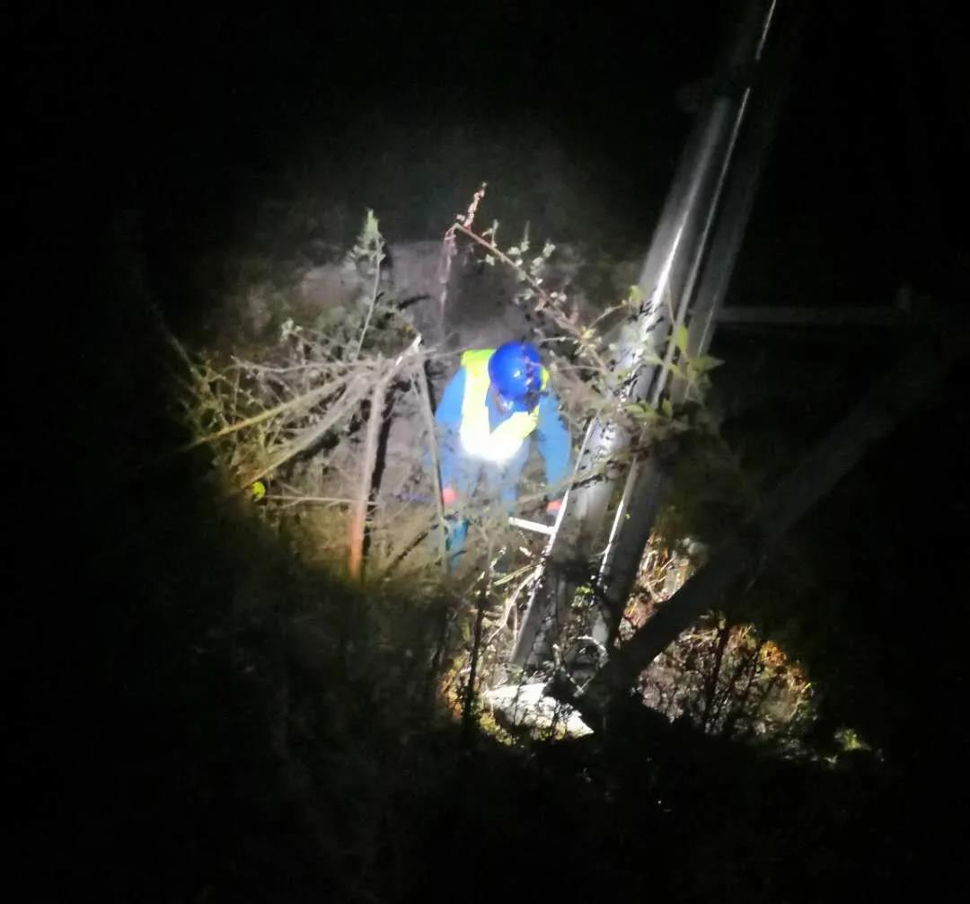 1605326779974300.jpg 113.jpg