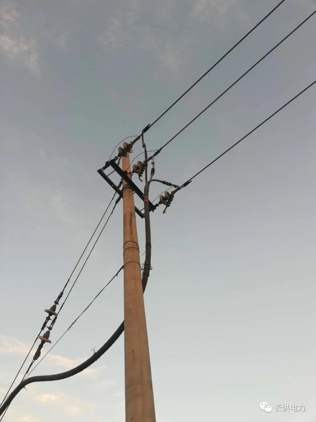 西白兔线路故障抢修