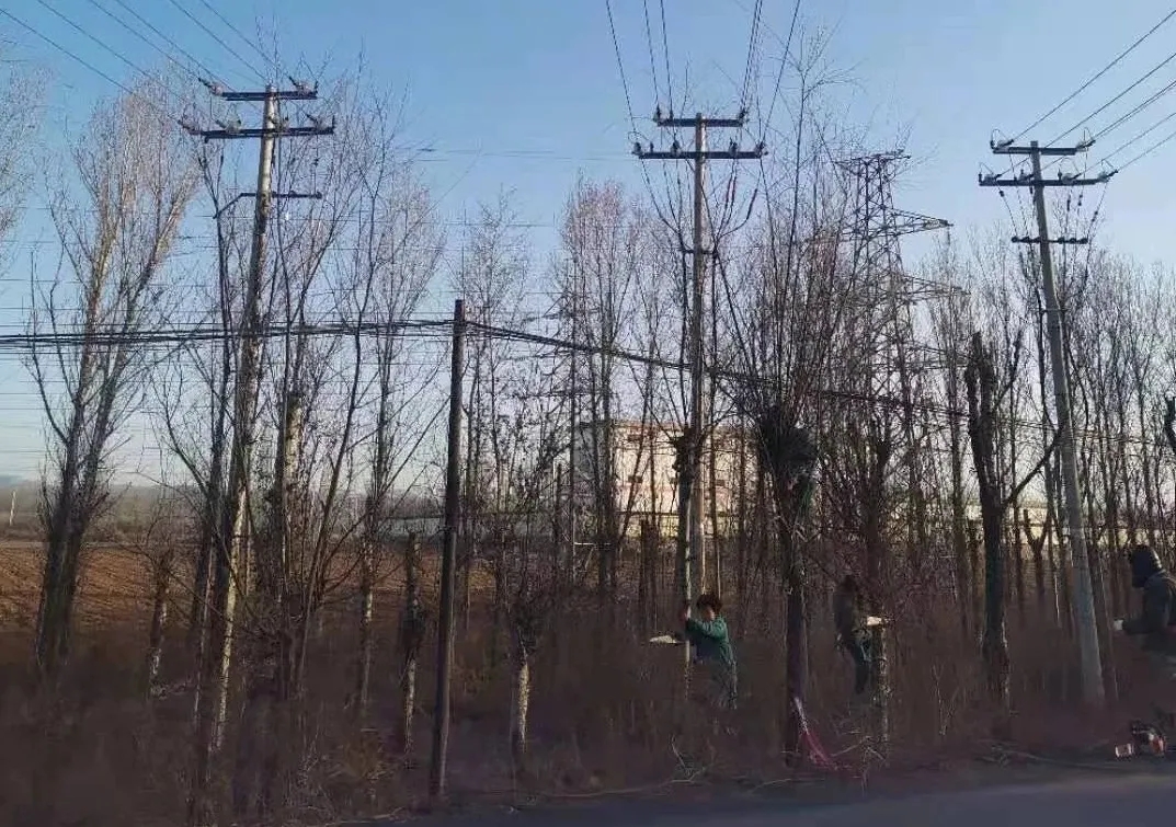 1617191482812609.jpg 640.webp (4).jpg